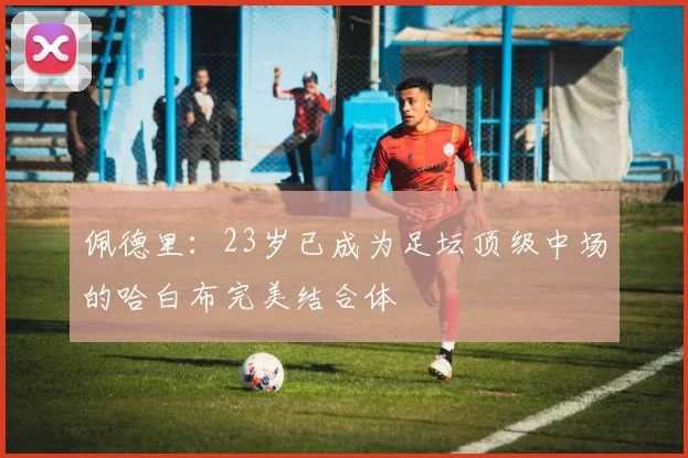 佩德里：23岁已成为足坛顶级中场的哈白布完美结合体