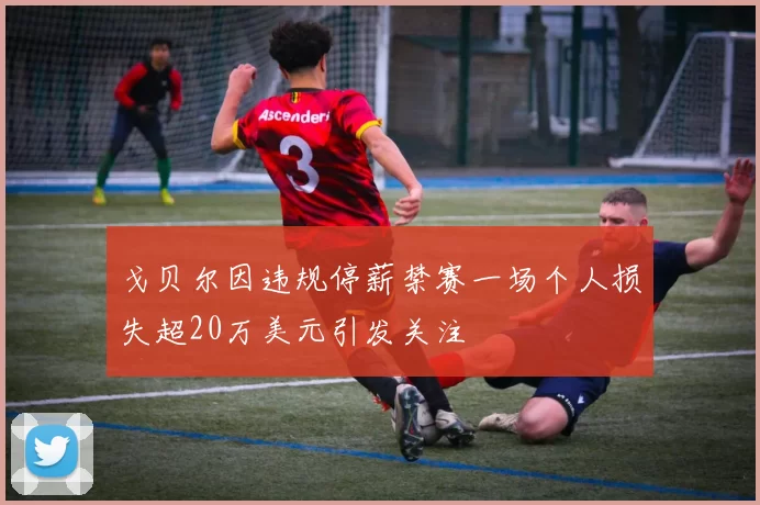 戈贝尔因违规停薪禁赛一场个人损失超20万美元引发关注