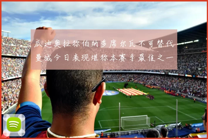 瓜迪奥拉称伯纳多席尔瓦不可替代曼城今日表现堪称本赛季最佳之一